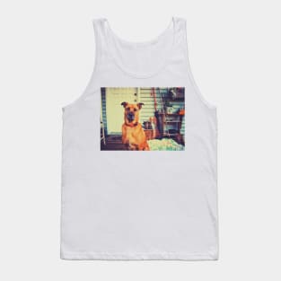 Black mouth cur dog. Tank Top